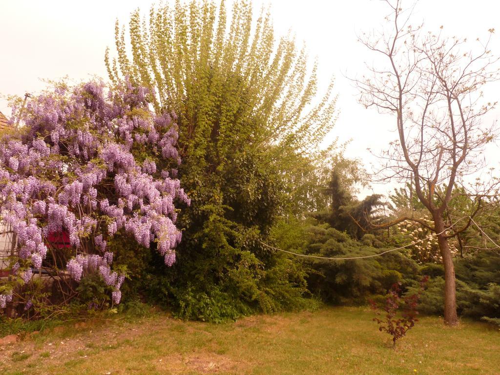 Dobo Tanya Villa Roszke Dış mekan fotoğraf