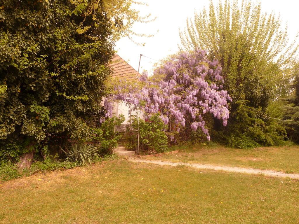 Dobo Tanya Villa Roszke Dış mekan fotoğraf