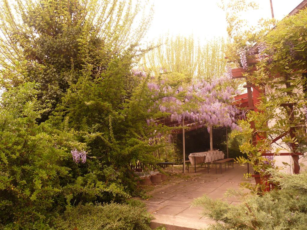 Dobo Tanya Villa Roszke Dış mekan fotoğraf