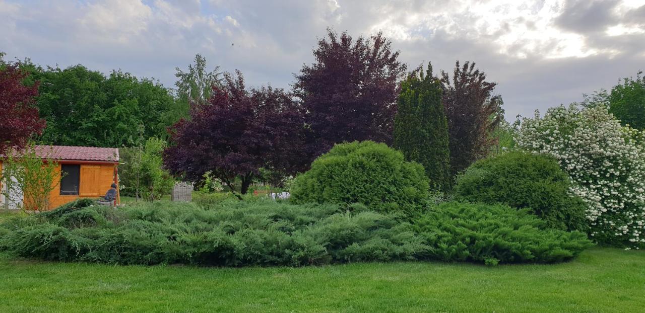 Dobo Tanya Villa Roszke Dış mekan fotoğraf