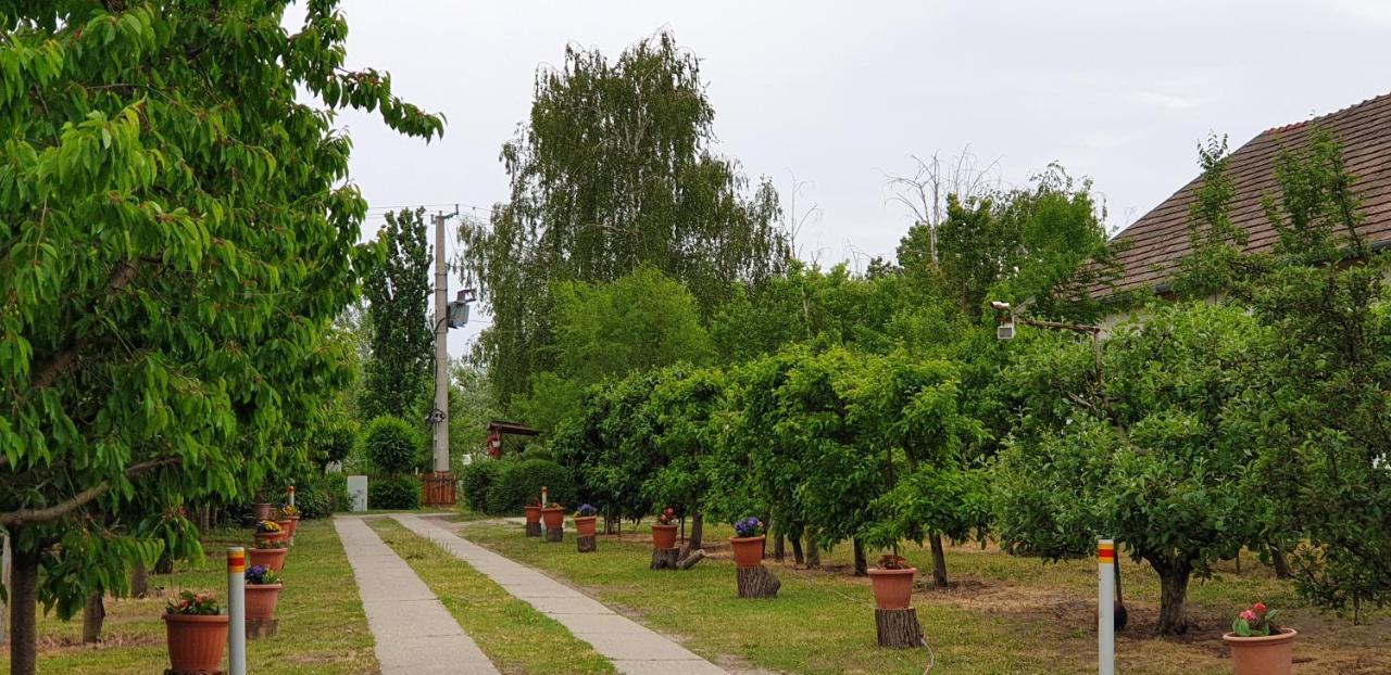 Dobo Tanya Villa Roszke Dış mekan fotoğraf