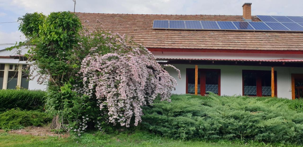 Dobo Tanya Villa Roszke Dış mekan fotoğraf