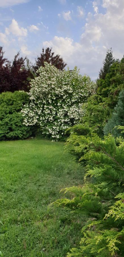 Dobo Tanya Villa Roszke Dış mekan fotoğraf