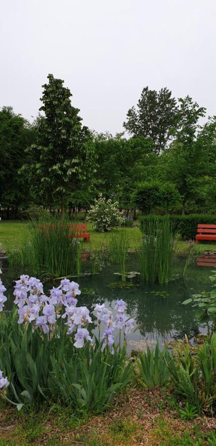 Dobo Tanya Villa Roszke Dış mekan fotoğraf
